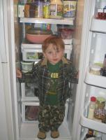 In the Refrigerator